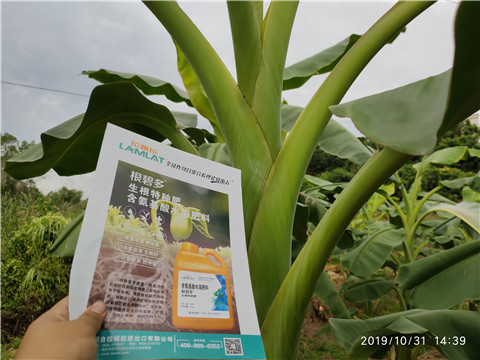 葉面肥，微生物菌劑，硼肥，水溶肥