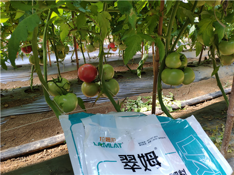 水溶肥，