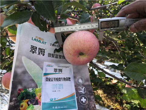 水溶肥，磷酸二氫鉀，微生物菌劑