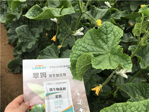 微生物菌劑，水溶肥，拉姆拉