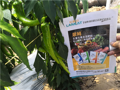 復合肥料，拉姆拉
