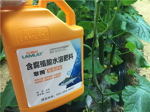 生根劑，魚蛋白水溶肥，拉姆拉