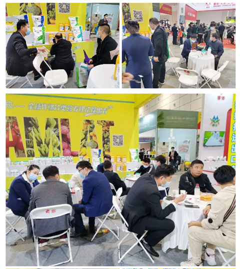 水溶肥，拉姆拉，翠姆