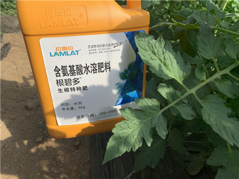 水溶肥，拉姆拉，翠姆