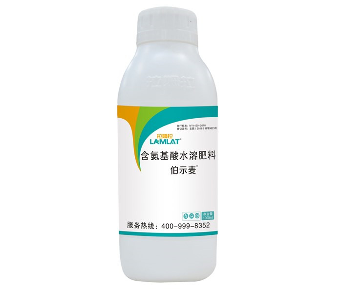 葉面肥，拉姆拉，伯示麥