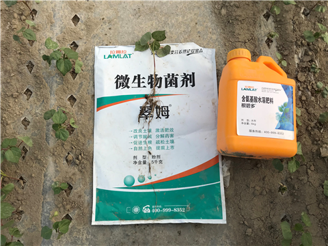 水溶肥，拉姆拉，翠姆