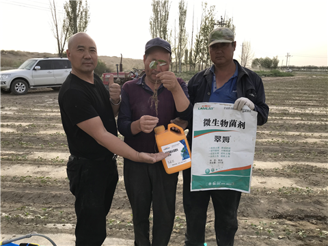 水溶肥，拉姆拉，翠姆