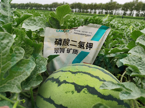 水溶肥，拉姆拉，翠姆